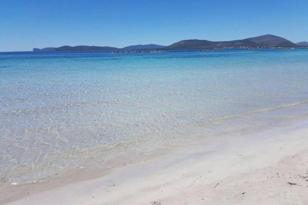 Alghero Sun & Sea - Spiaggia A 50 Metri Exteriör bild